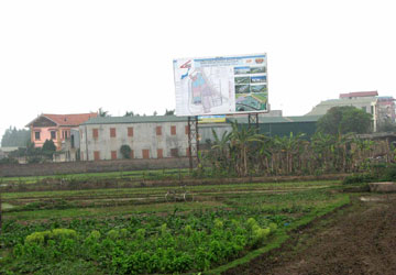 250.000 ha đất đang bị bỏ hoang